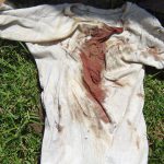 blutiges_hems_open_d