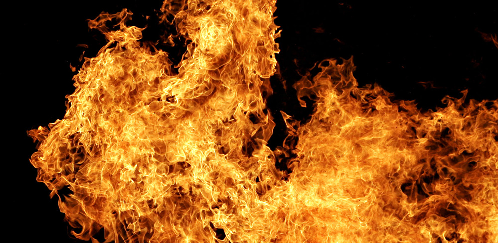 feuer_fir0002