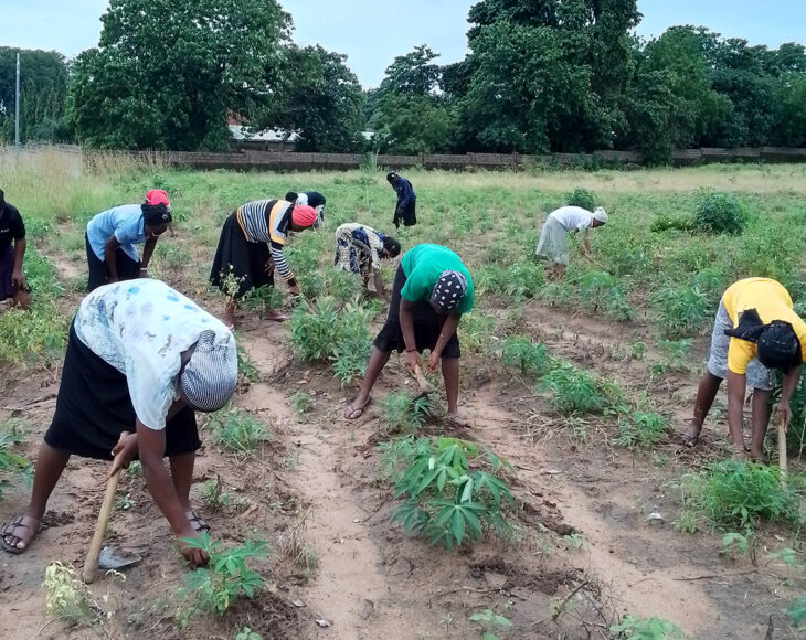 Nigeria Feldarbeit